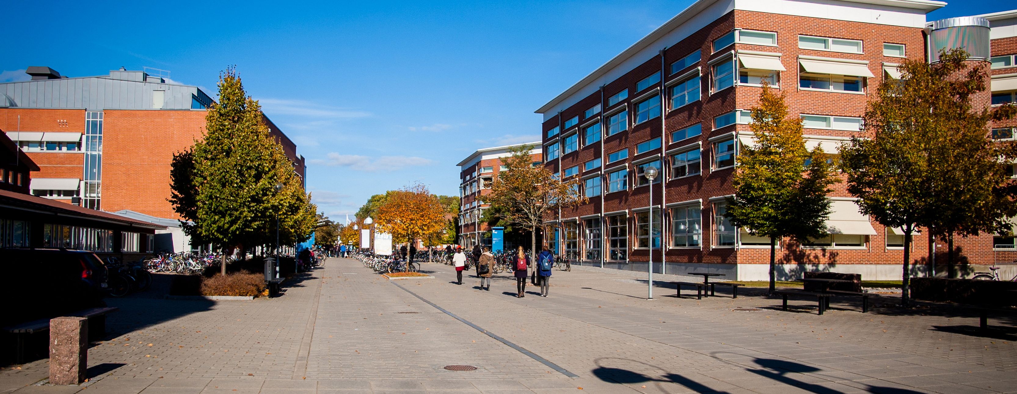 Släpvagnar i Linköping Vi levererar där du bor